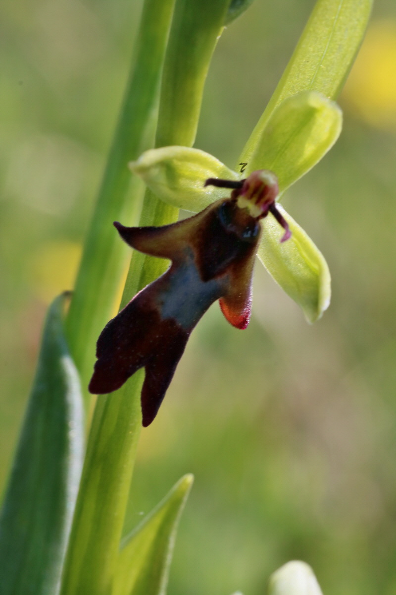 IMG-2016-05-02-00013456p_Bildgr��e �ndern