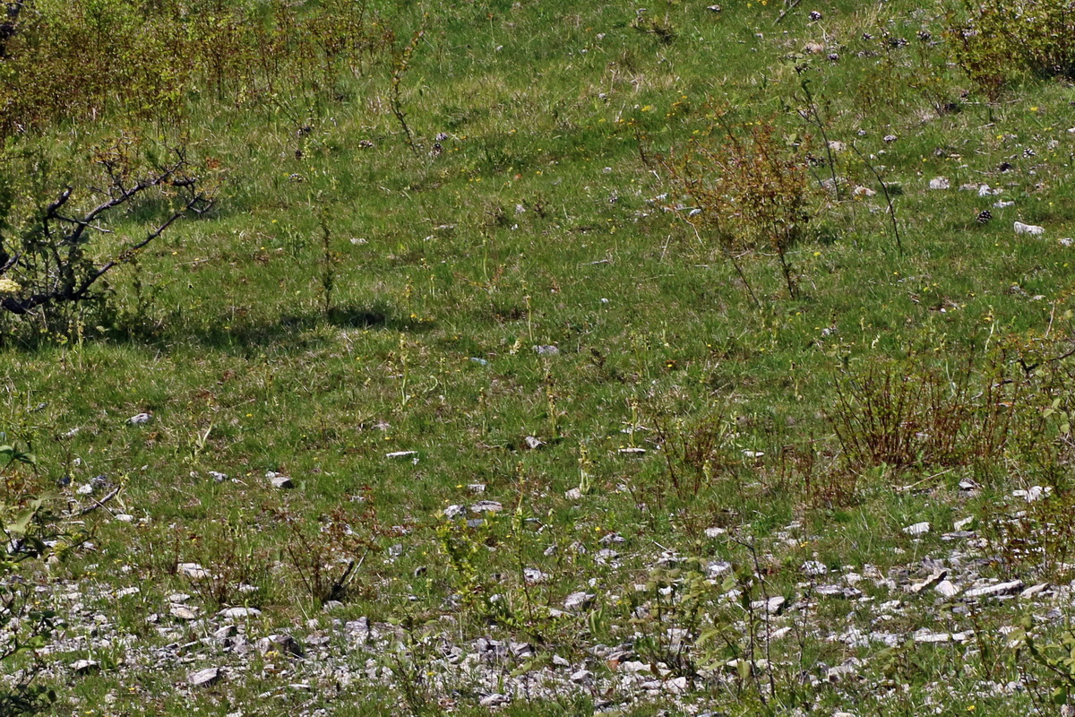 IMG-2016-05-02-00013460ap_Bildgr��e �ndern