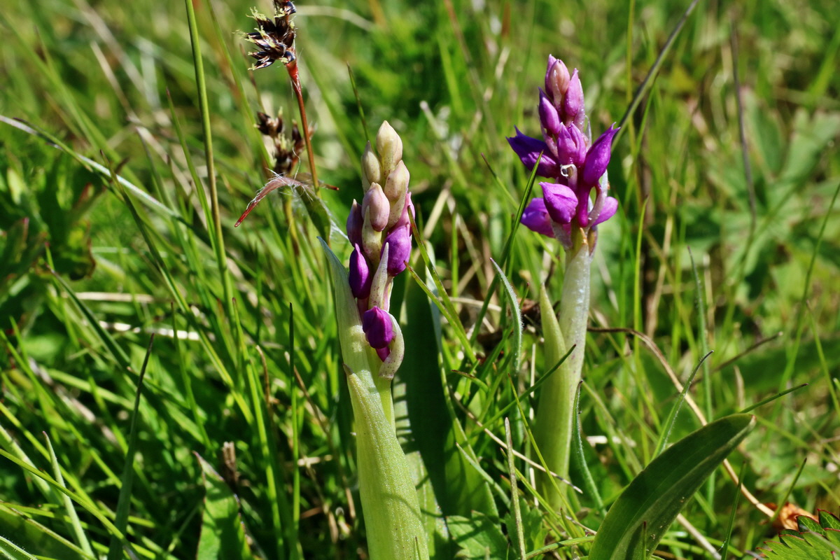 IMG-2016-05-05-00013469p_Bildgr��e �ndern