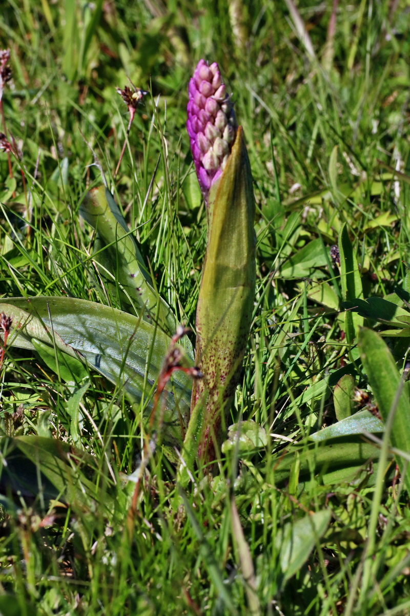 IMG-2016-05-05-00013472p_Bildgr��e �ndern