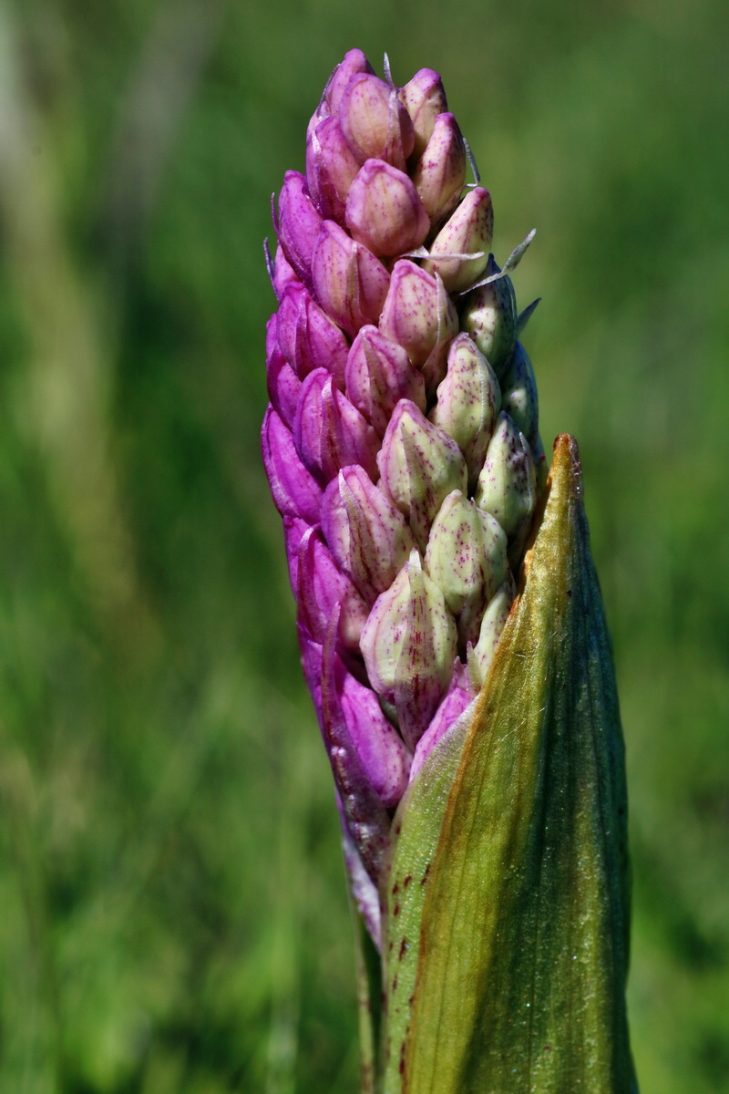 IMG-2016-05-05-00013476p_Bildgr��e �ndern