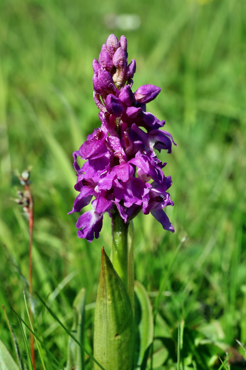 IMG-2016-05-05-00013486p_Bildgr��e �ndern