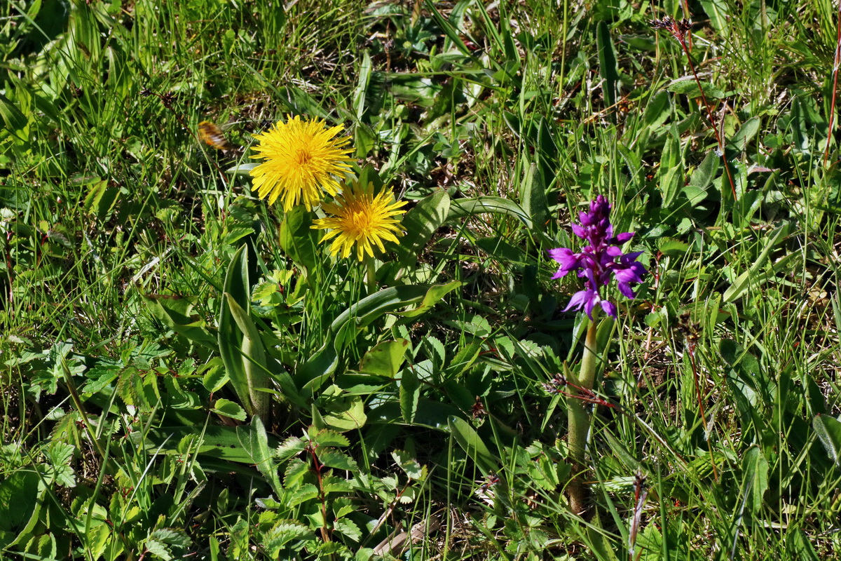 IMG-2016-05-05-00013488p_Bildgr��e �ndern