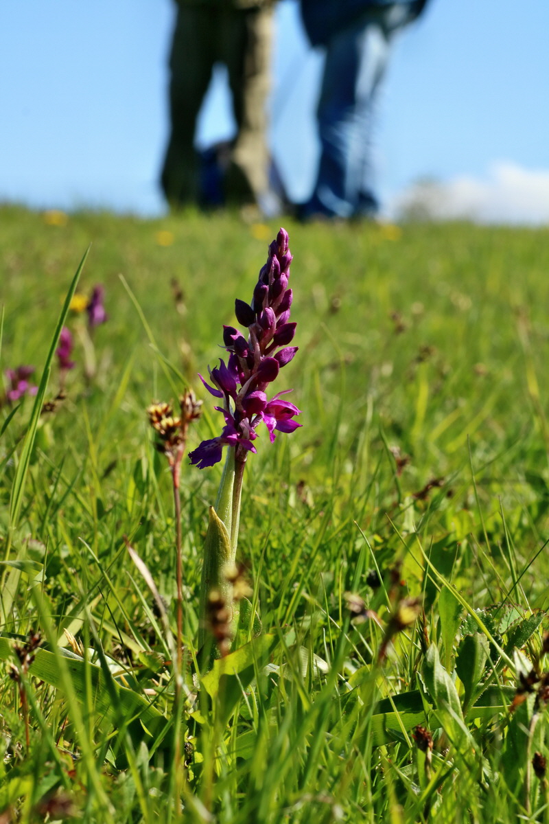 IMG-2016-05-05-00013491p_Bildgr��e �ndern