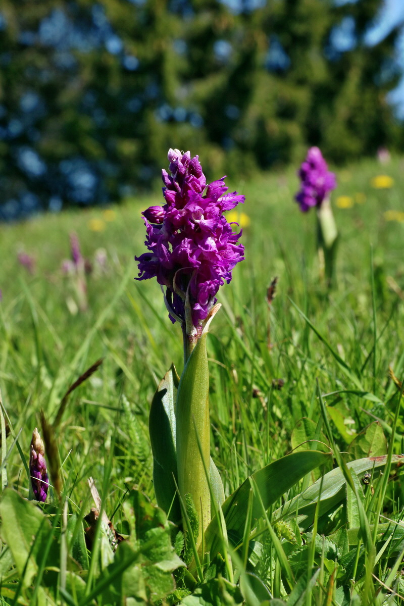 IMG-2016-05-05-00013494p_Bildgr��e �ndern