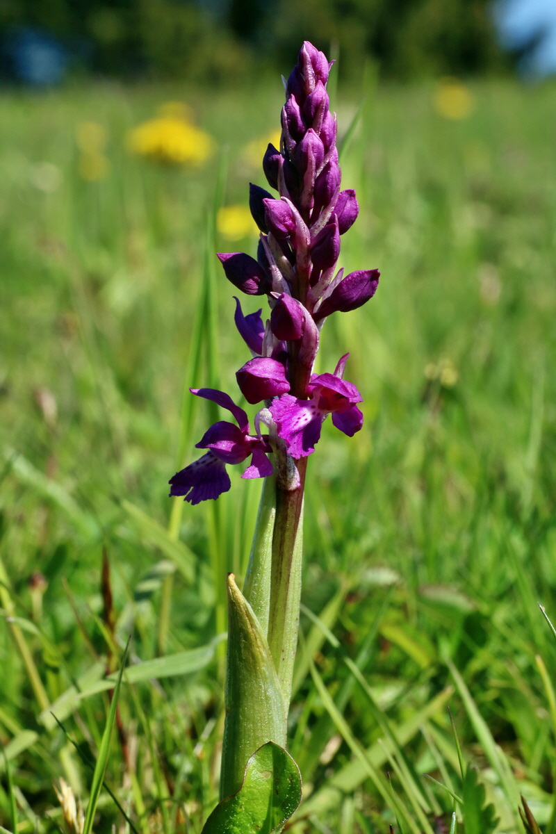 IMG-2016-05-05-00013495p_Bildgr��e �ndern