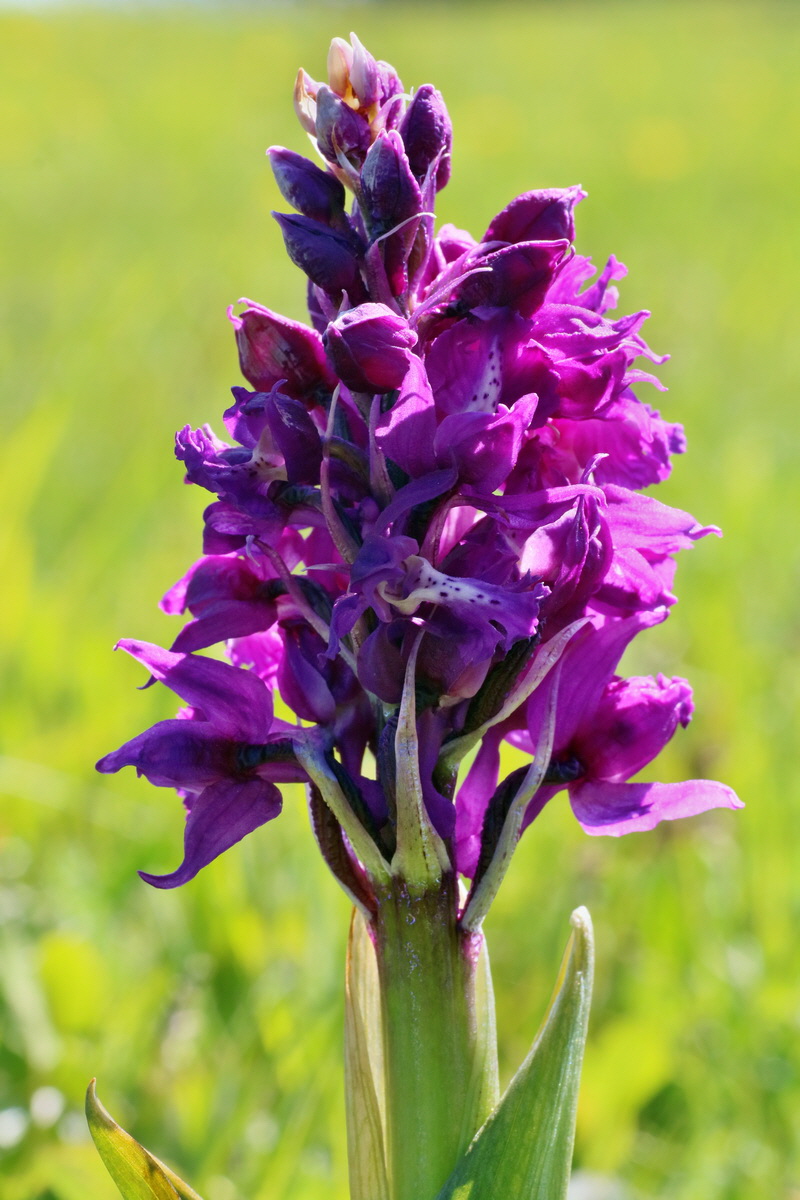 IMG-2016-05-05-00013499p_Bildgr��e �ndern