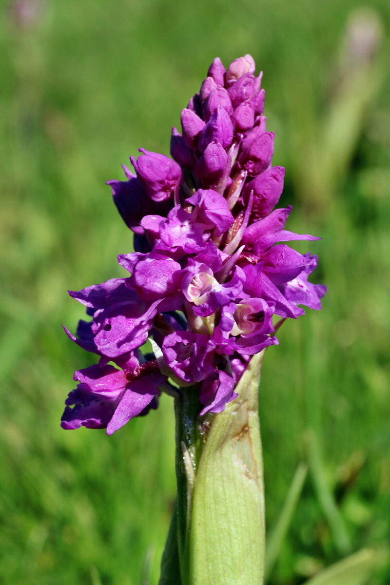 IMG-2016-05-05-00013505p_Bildgr��e �ndern