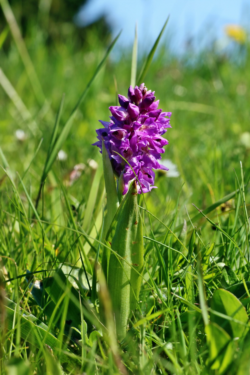 IMG-2016-05-05-00013512p_Bildgr��e �ndern