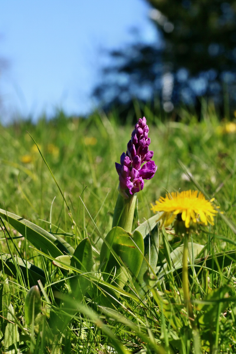 IMG-2016-05-05-00013514p_Bildgr��e �ndern