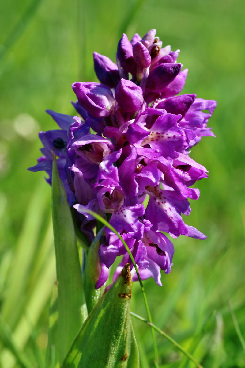 IMG-2016-05-05-00013516p_Bildgr��e �ndern