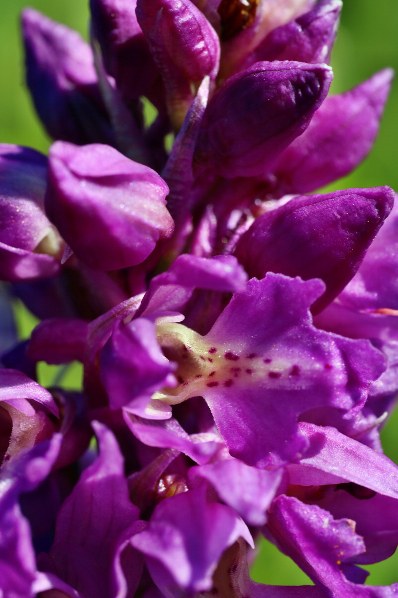 IMG-2016-05-05-00013517p_Bildgr��e �ndern