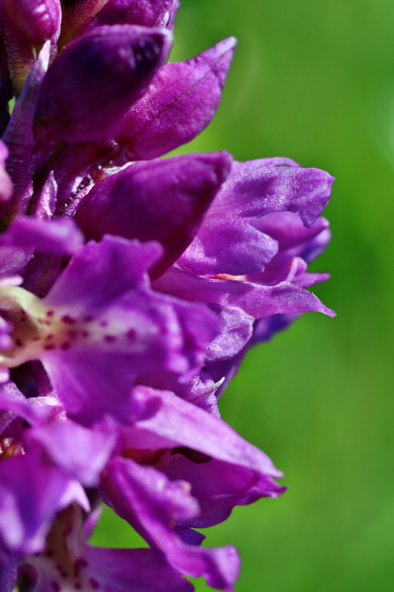 IMG-2016-05-05-00013519p_Bildgr��e �ndern