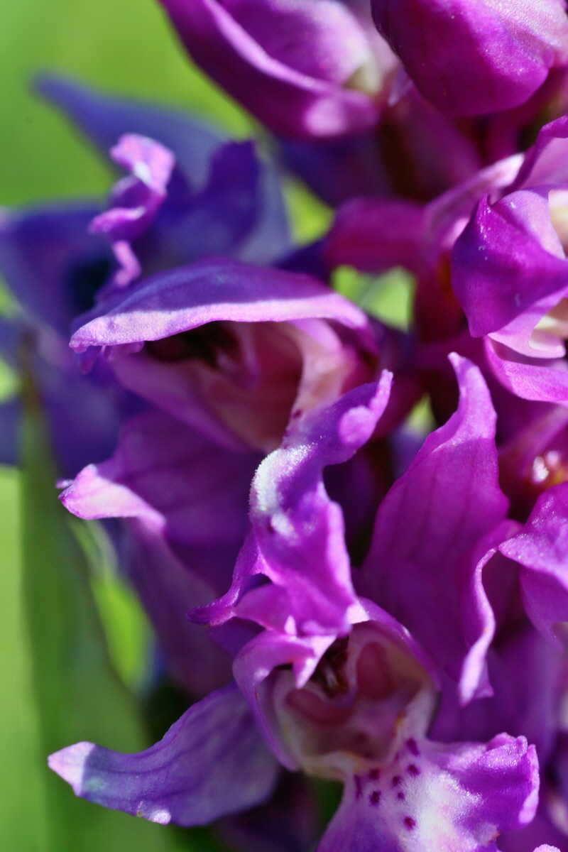 IMG-2016-05-05-00013521p_Bildgr��e �ndern