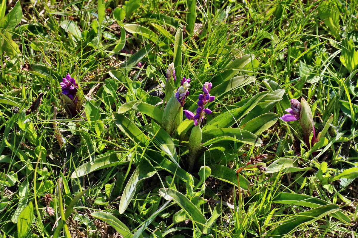 IMG-2016-05-05-00013532p_Bildgr��e �ndern