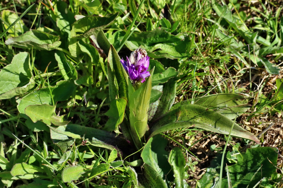 IMG-2016-05-05-00013534p_Bildgr��e �ndern