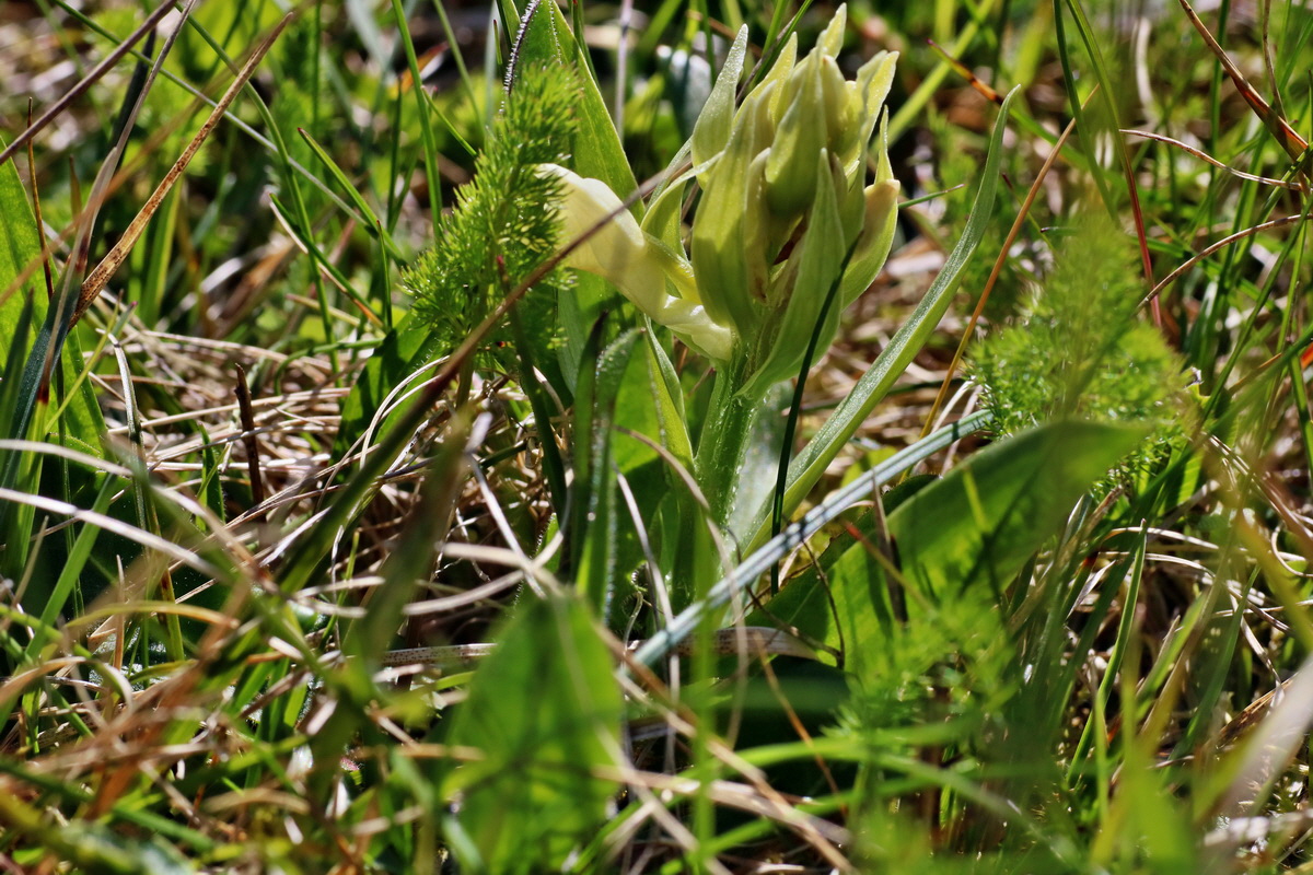 IMG-2016-05-05-00013538p_Bildgr��e �ndern