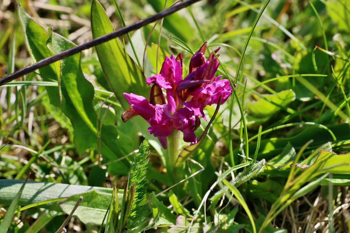 IMG-2016-05-05-00013542p_Bildgr��e �ndern