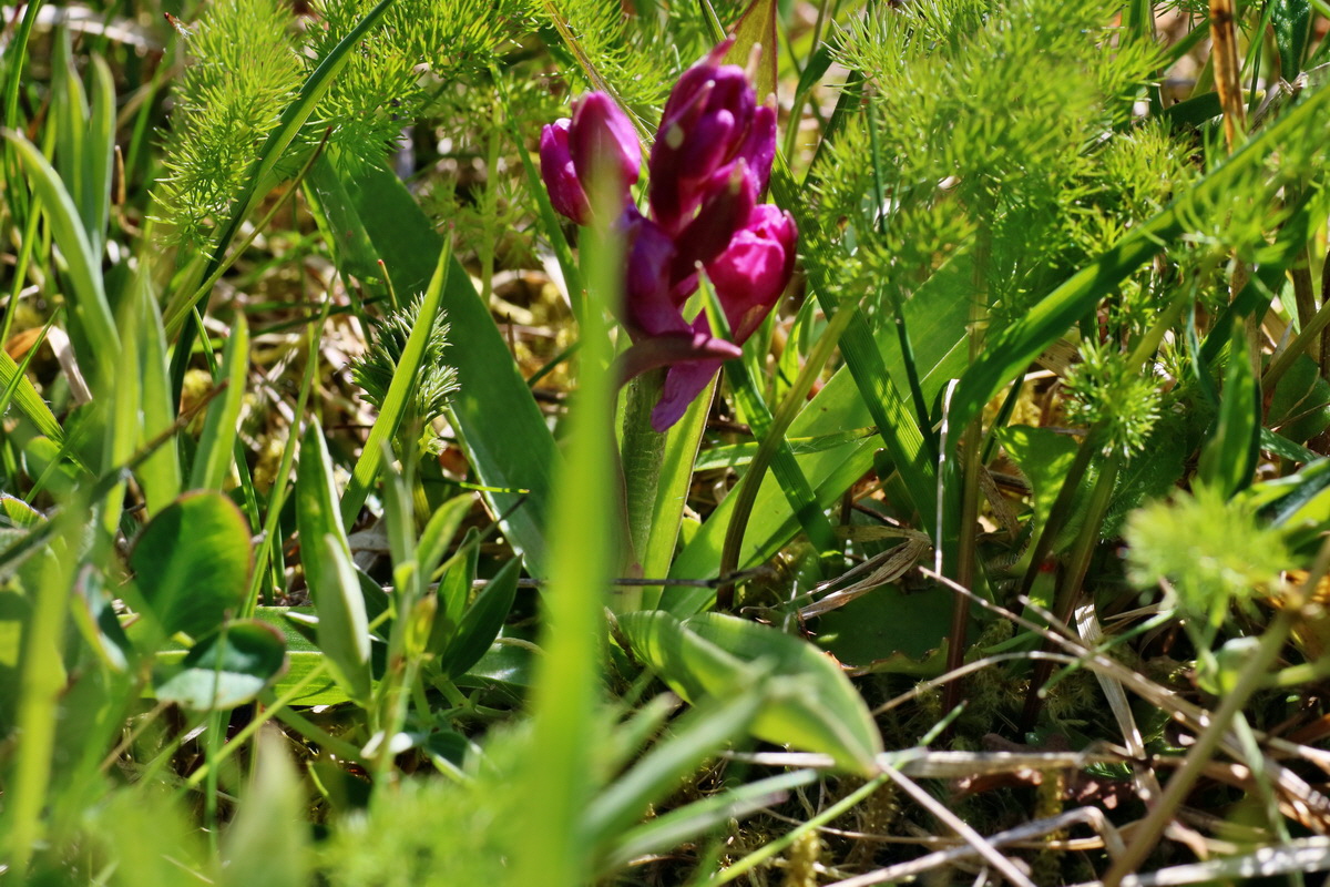 IMG-2016-05-05-00013543p_Bildgr��e �ndern