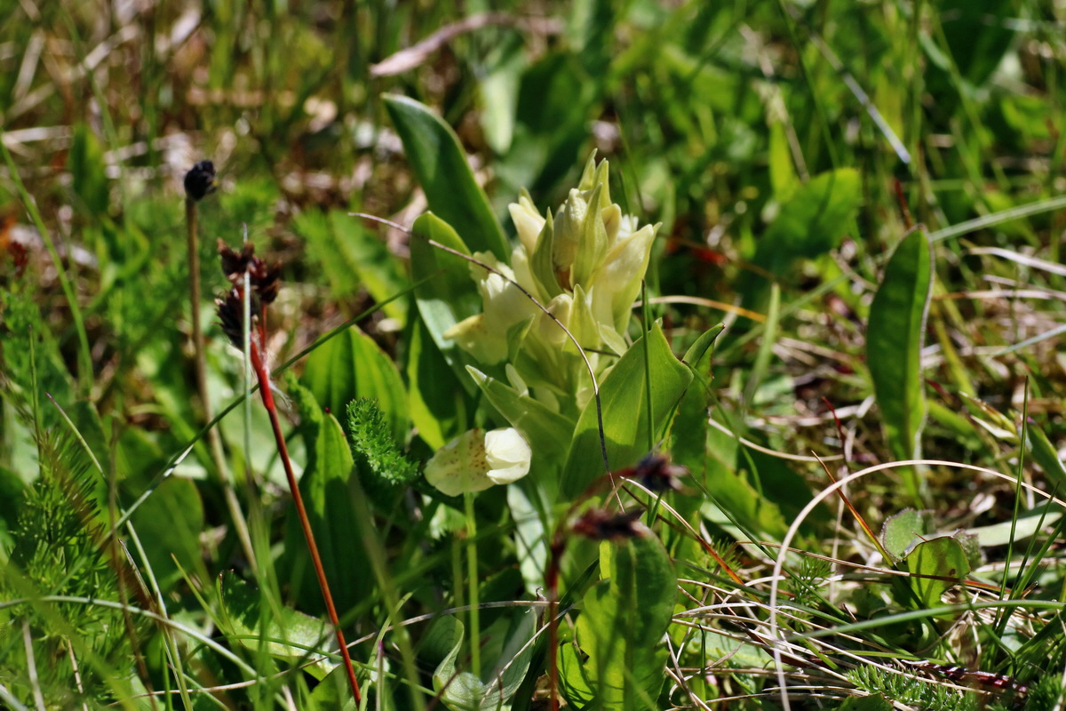 IMG-2016-05-05-00013546p_Bildgr��e �ndern