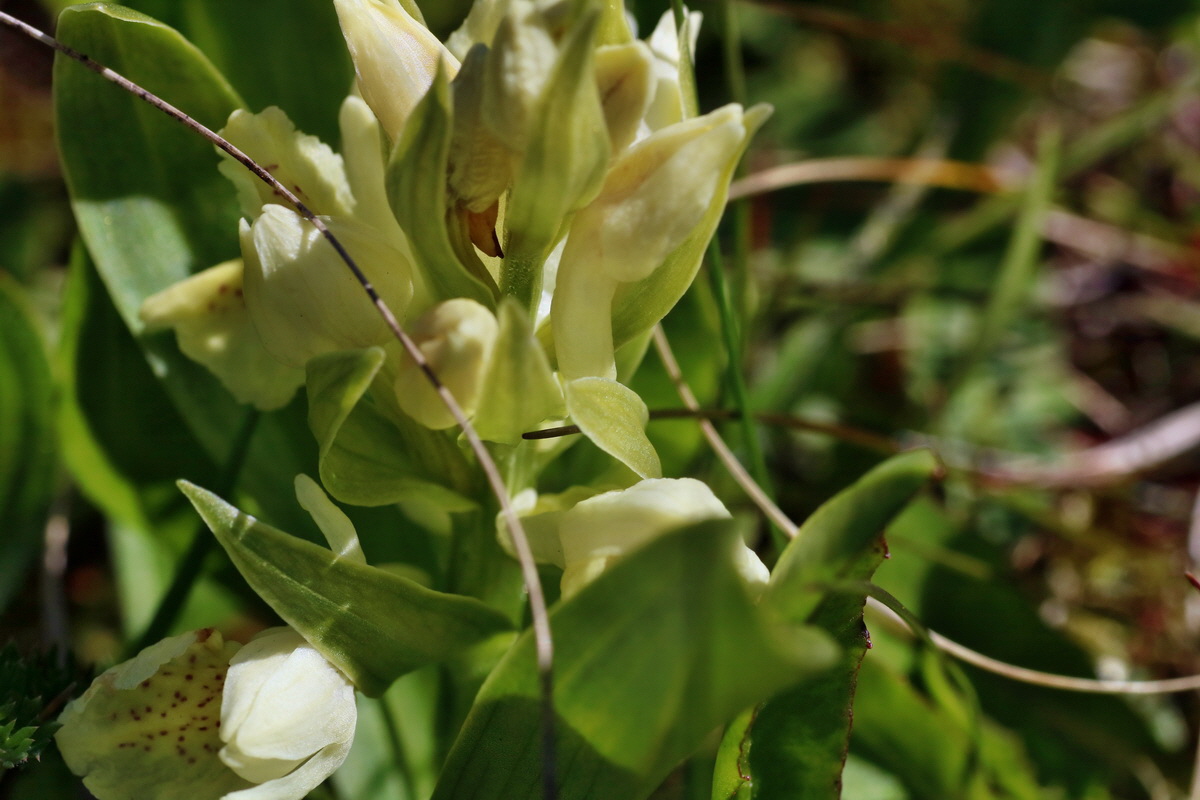 IMG-2016-05-05-00013549p_Bildgr��e �ndern