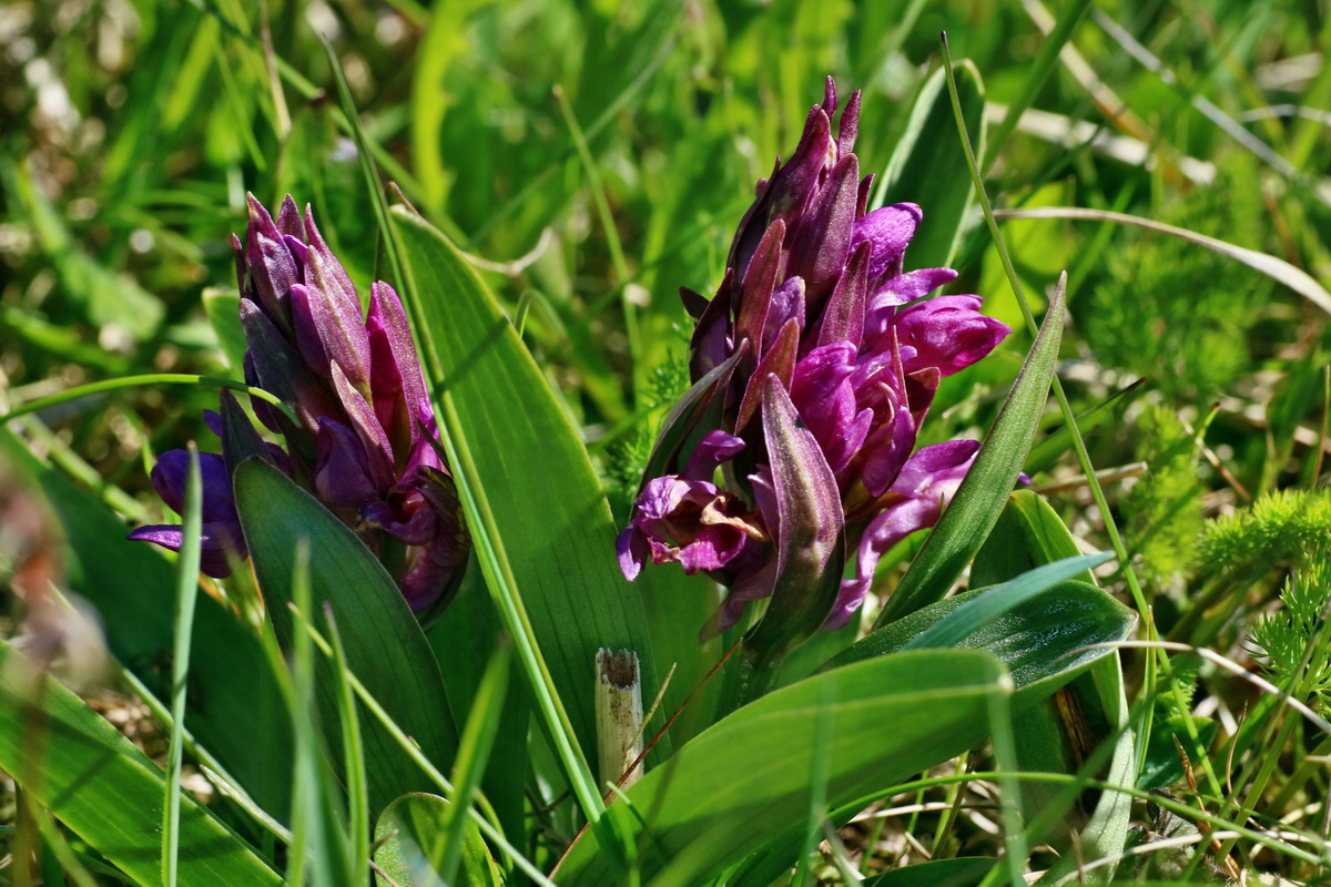 IMG-2016-05-05-00013551p_Bildgr��e �ndern