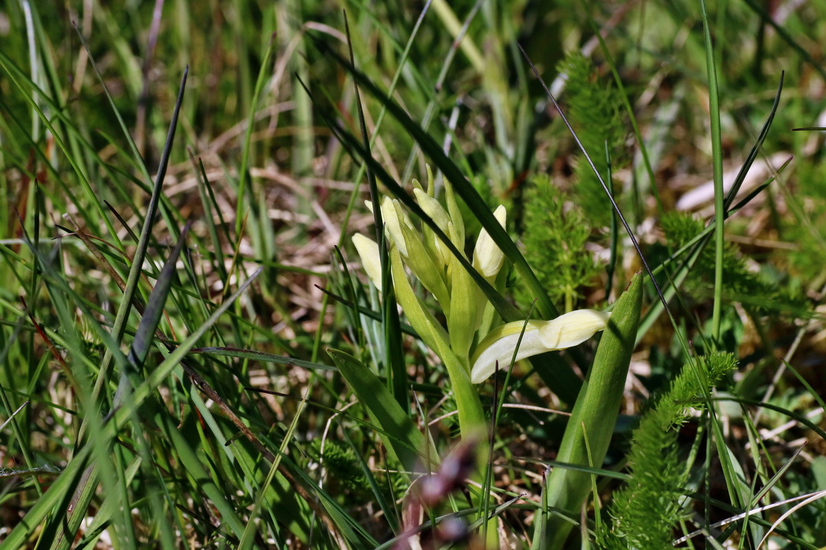 IMG-2016-05-05-00013556p_Bildgr��e �ndern