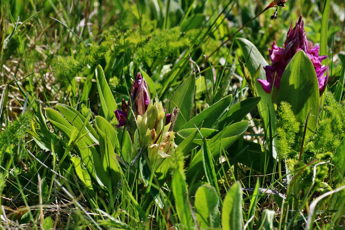 IMG-2016-05-05-00013559p_Bildgr��e �ndern