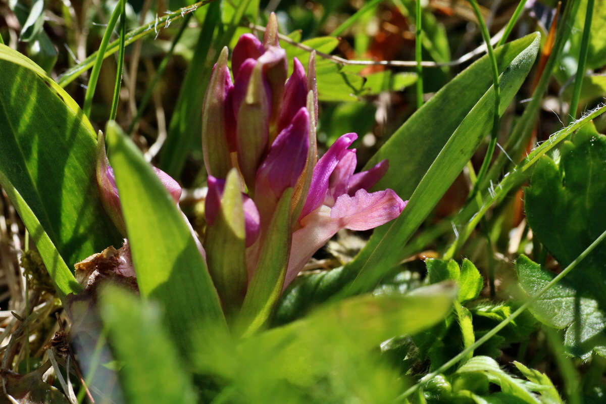 IMG-2016-05-05-00013568p_Bildgr��e �ndern