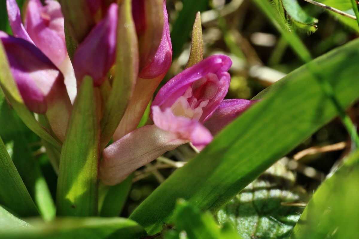 IMG-2016-05-05-00013570p_Bildgr��e �ndern