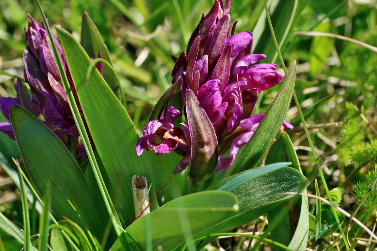 IMG-2016-05-05-00013573p_Bildgr��e �ndern