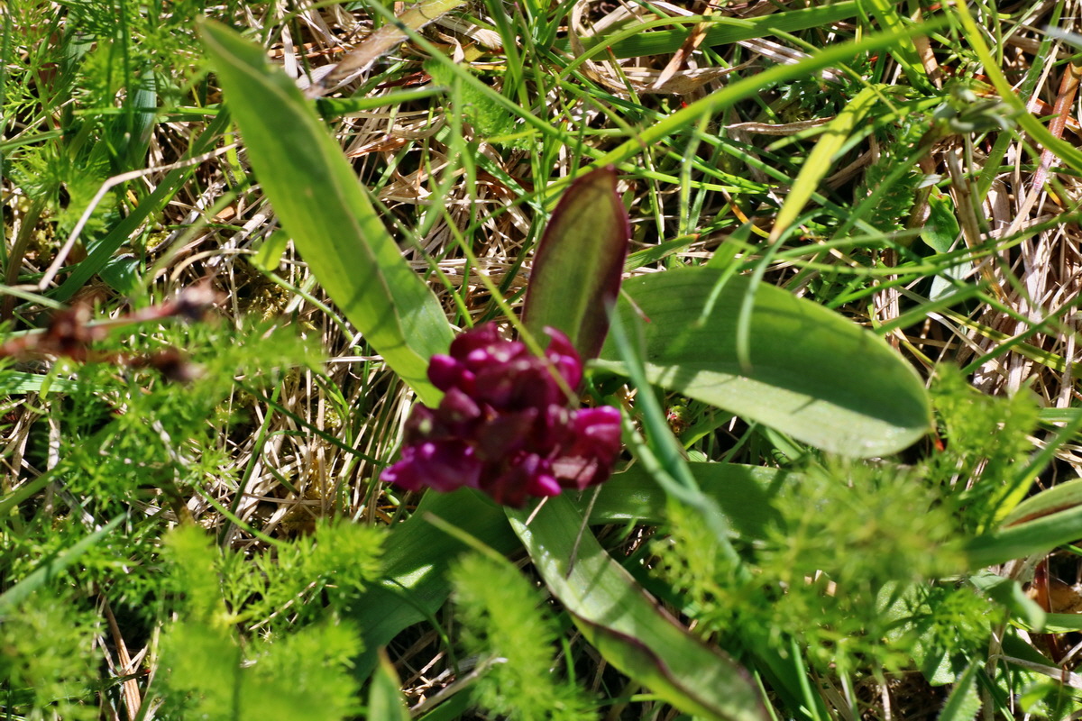 IMG-2016-05-05-00013576p_Bildgr��e �ndern