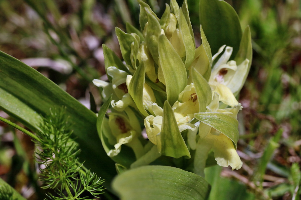 IMG-2016-05-05-00013579p_Bildgr��e �ndern