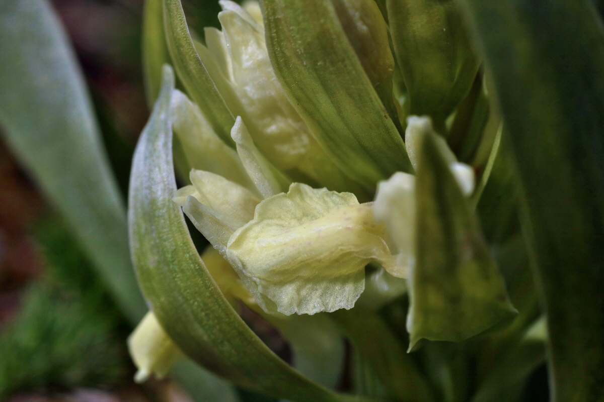 IMG-2016-05-05-00013581p_Bildgr��e �ndern