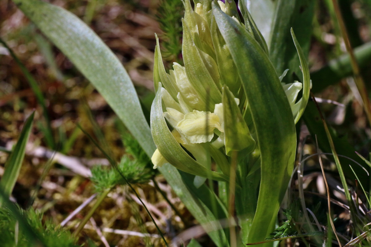 IMG-2016-05-05-00013582p_Bildgr��e �ndern