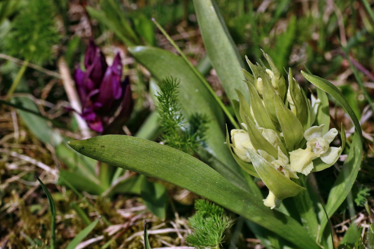 IMG-2016-05-05-00013591p_Bildgr��e �ndern