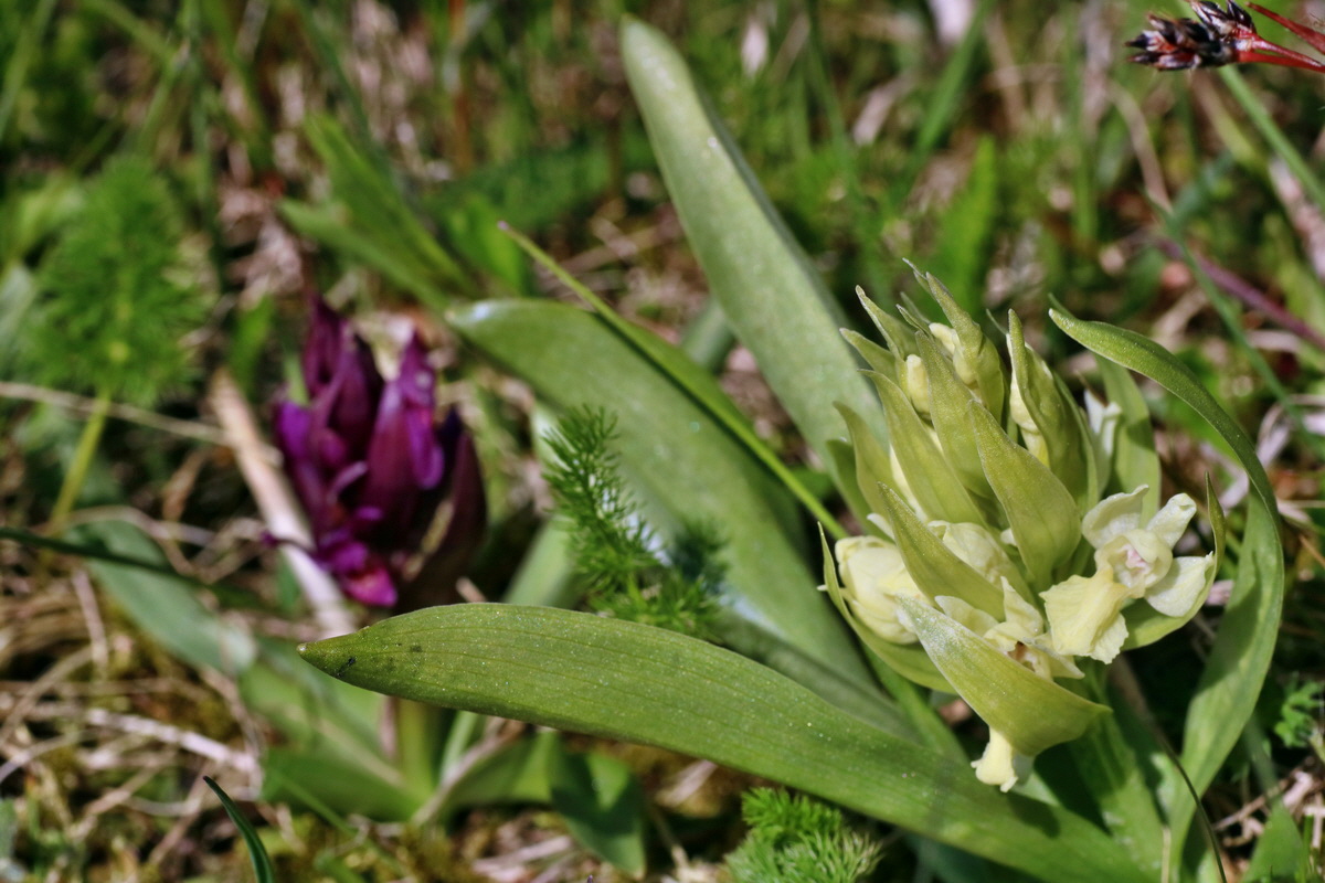 IMG-2016-05-05-00013593p_Bildgr��e �ndern