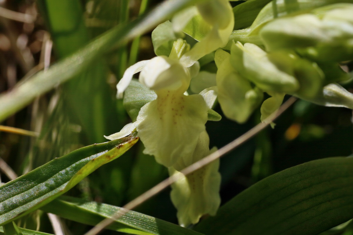 IMG-2016-05-05-00013594p_Bildgr��e �ndern