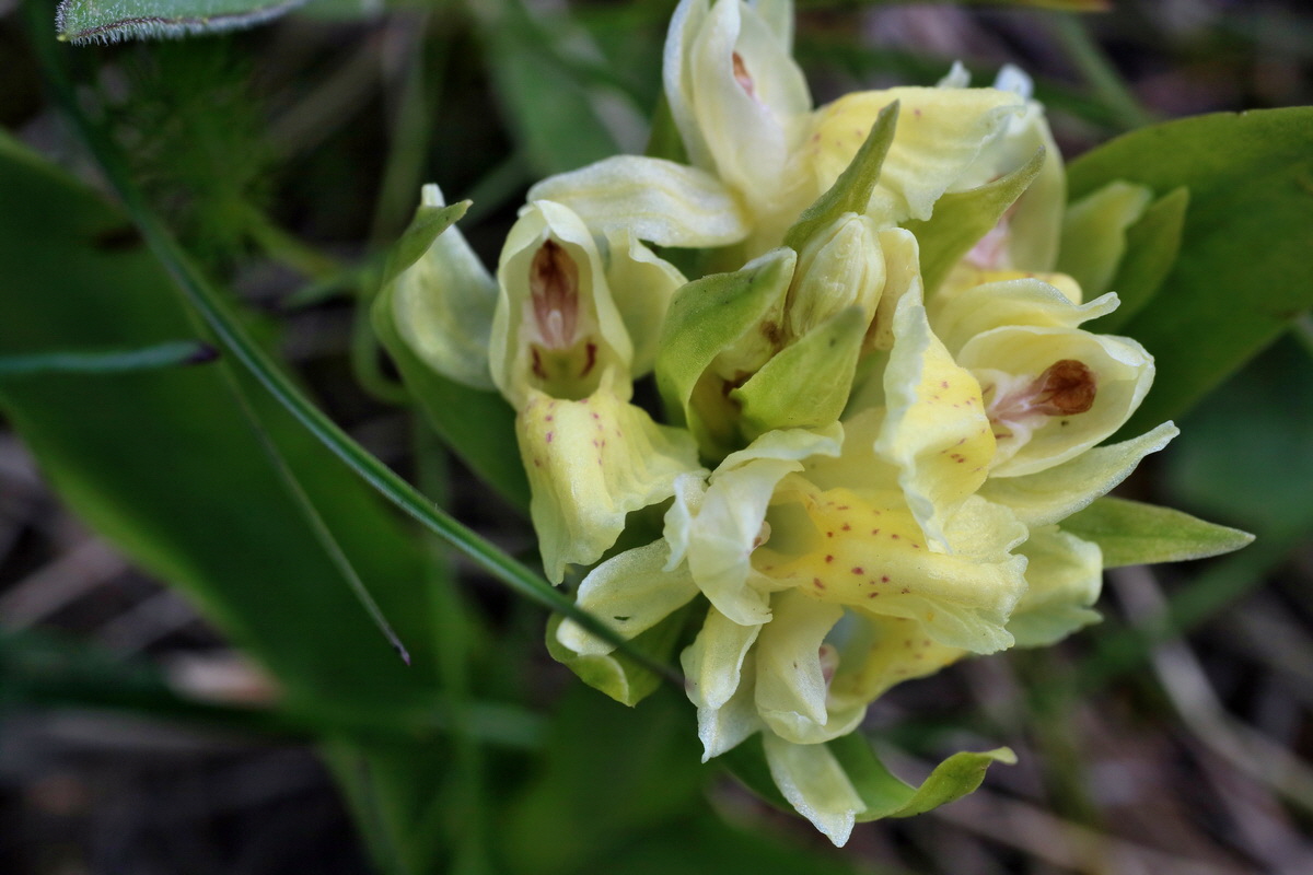 IMG-2016-05-05-00013605p_Bildgr��e �ndern