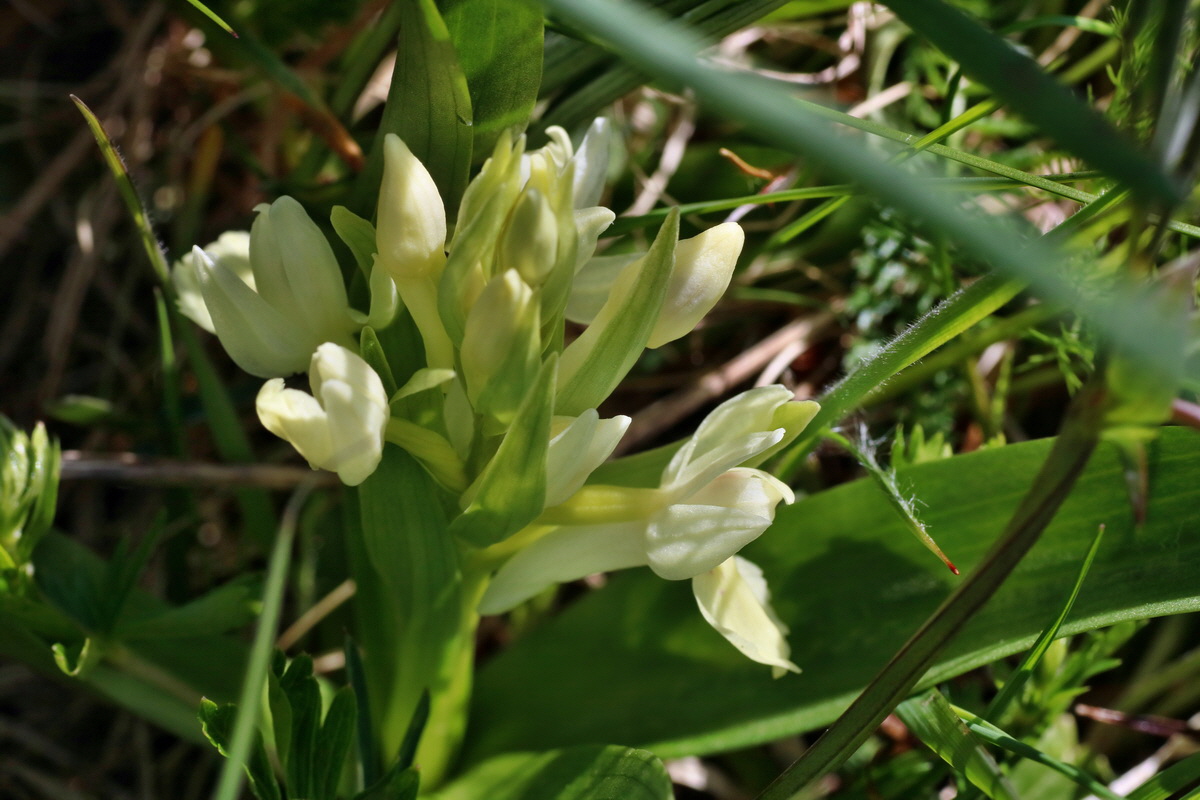 IMG-2016-05-05-00013612p_Bildgr��e �ndern