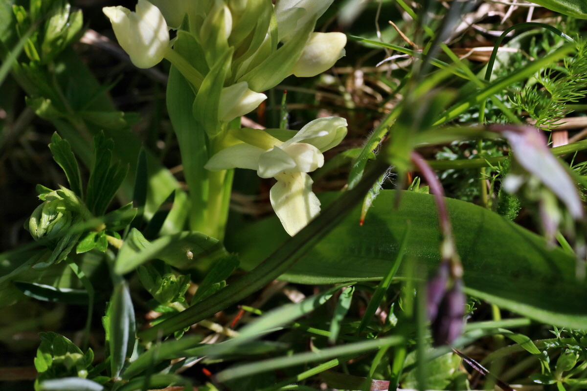 IMG-2016-05-05-00013616p_Bildgr��e �ndern