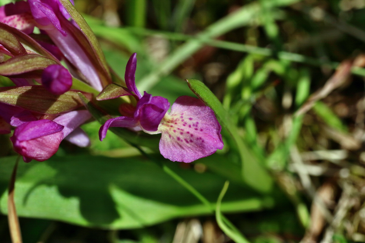 IMG-2016-05-05-00013618p_Bildgr��e �ndern