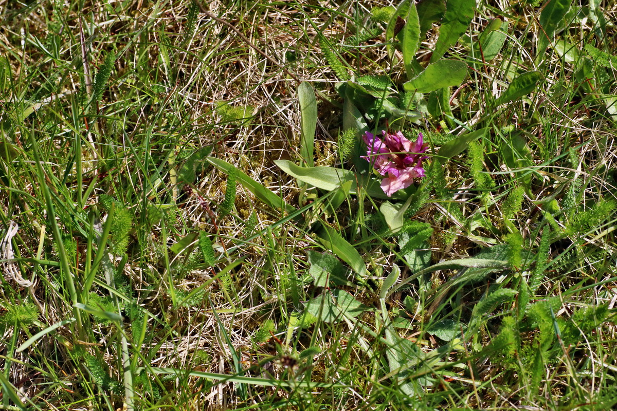 IMG-2016-05-05-00013628p_Bildgr��e �ndern