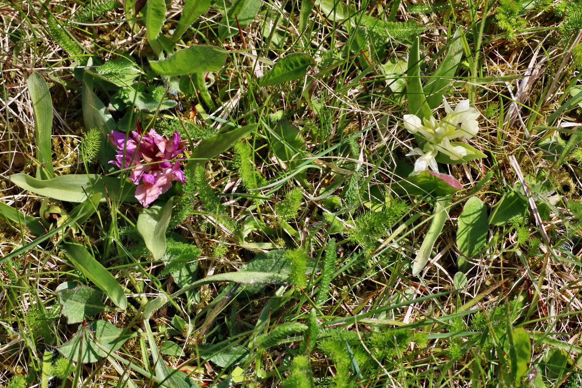 IMG-2016-05-05-00013632p_Bildgr��e �ndern