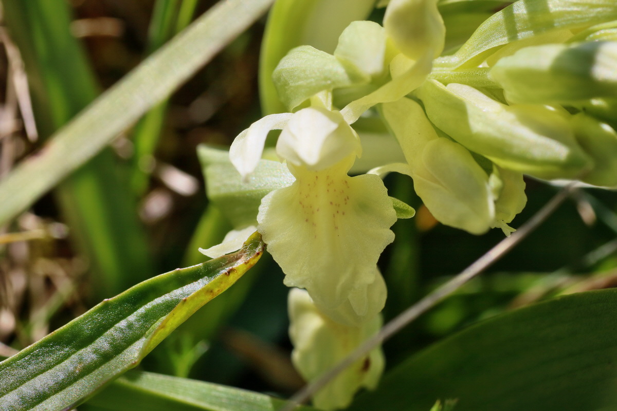 IMG-2016-05-05-00013637p_Bildgr��e �ndern