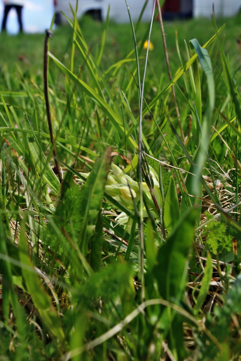 IMG-2016-05-05-00013645p_Bildgr��e �ndern