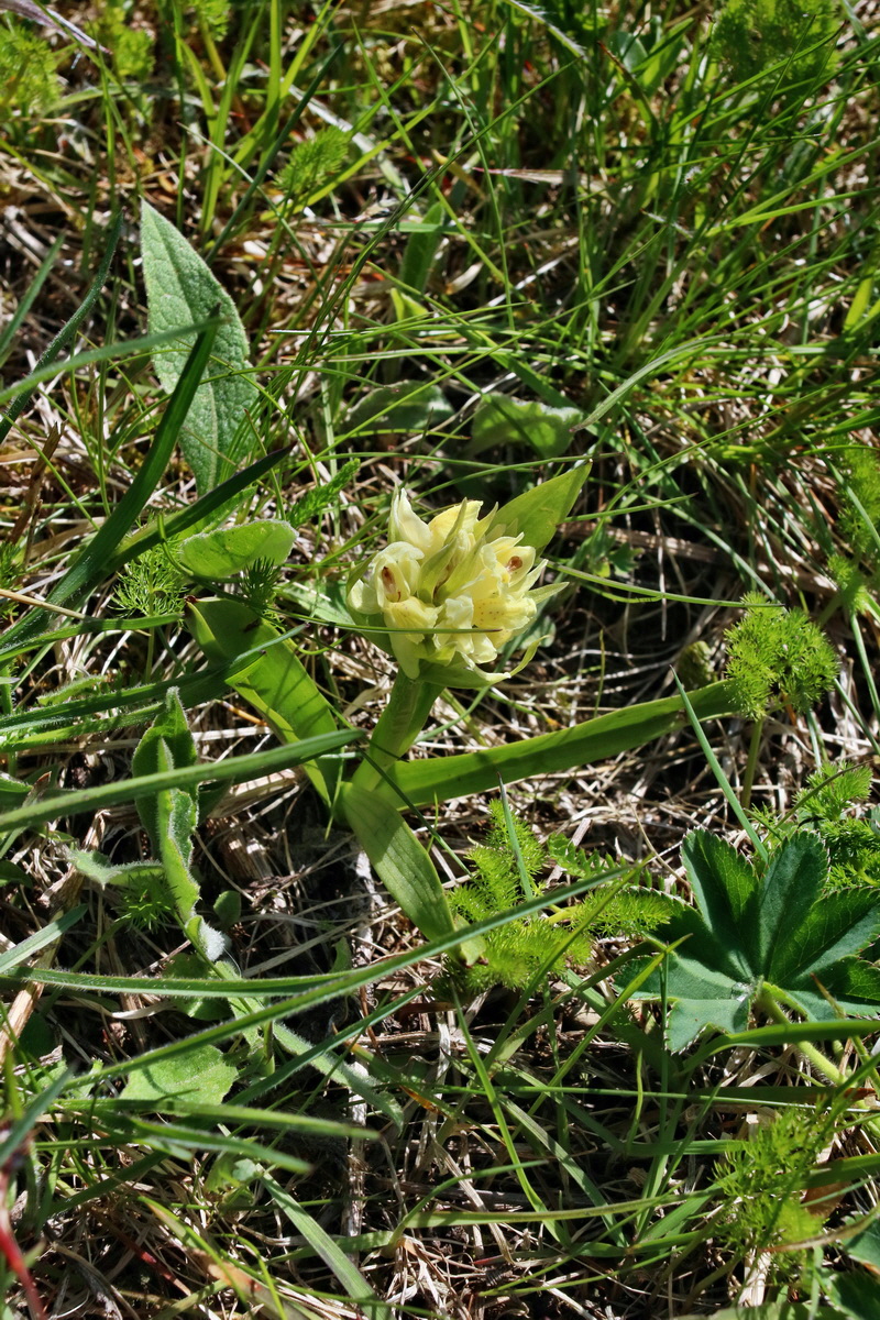 IMG-2016-05-05-00013648p_Bildgr��e �ndern