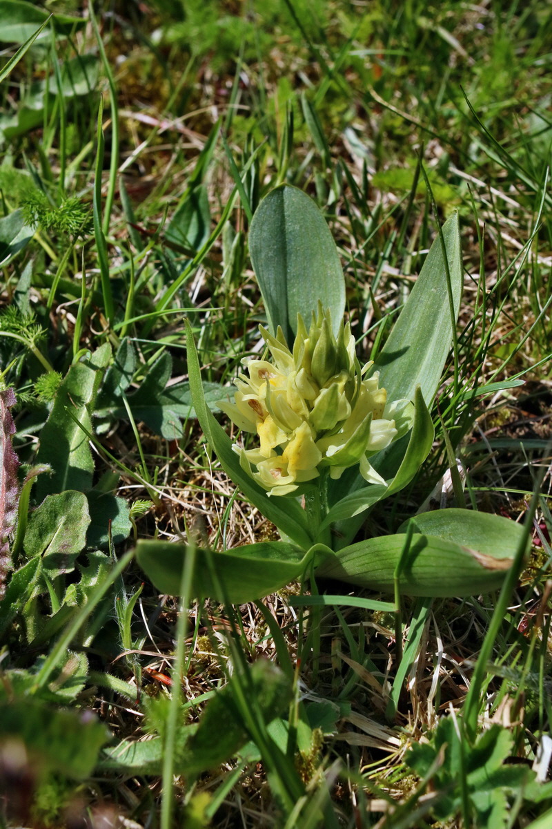 IMG-2016-05-05-00013650p_Bildgr��e �ndern