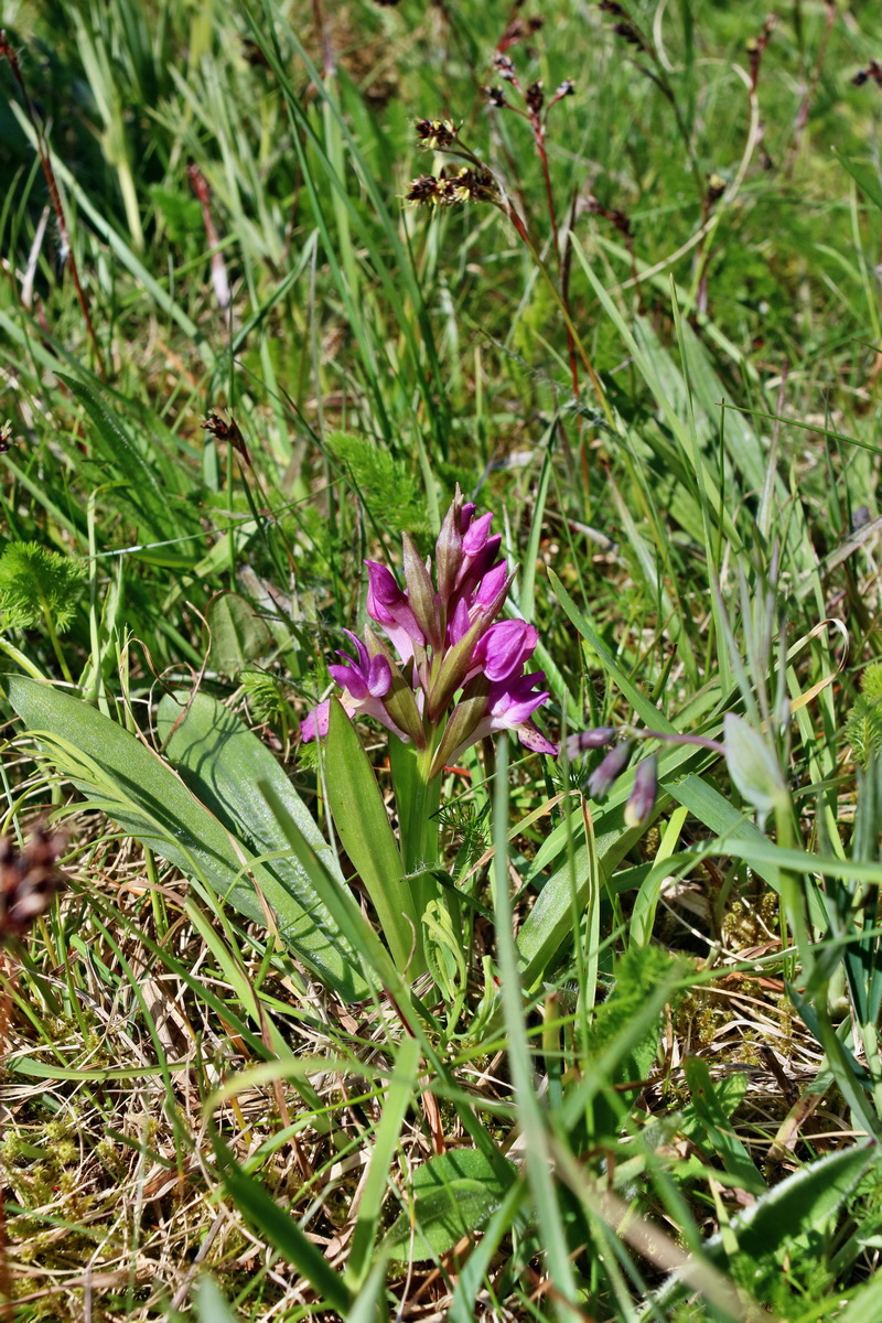 IMG-2016-05-05-00013652p_Bildgr��e �ndern