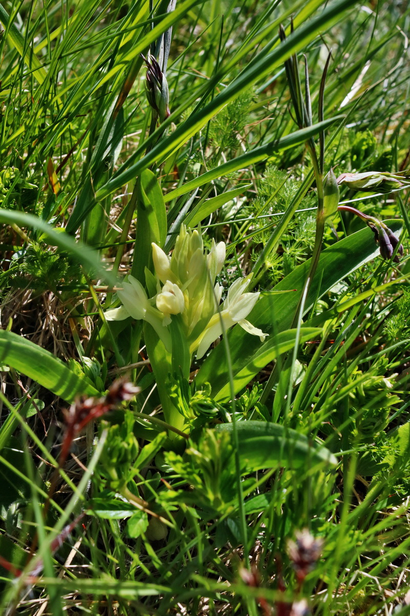 IMG-2016-05-05-00013658p_Bildgr��e �ndern